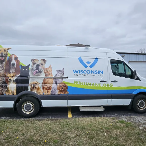 Van Graphics