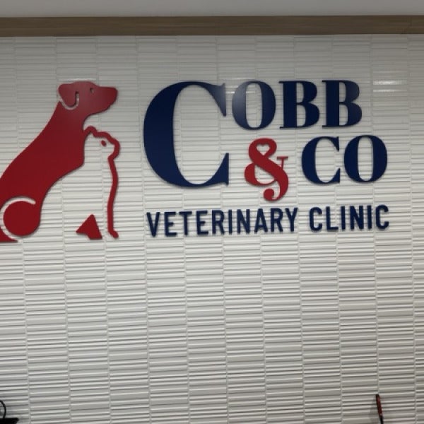 Dimensional Logo, Letters and ADA