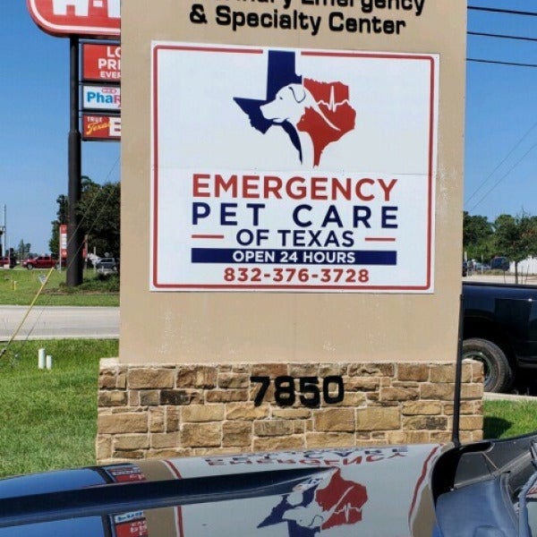 Reasons Why Professional Installation Matters for Business Sign