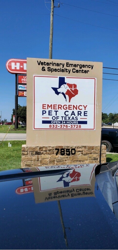 Reasons Why Professional Installation Matters for Business Sign
