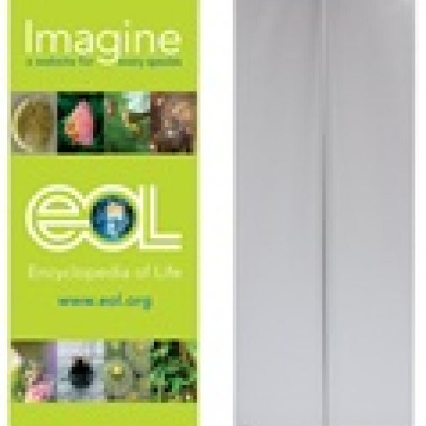 Retractable Banner