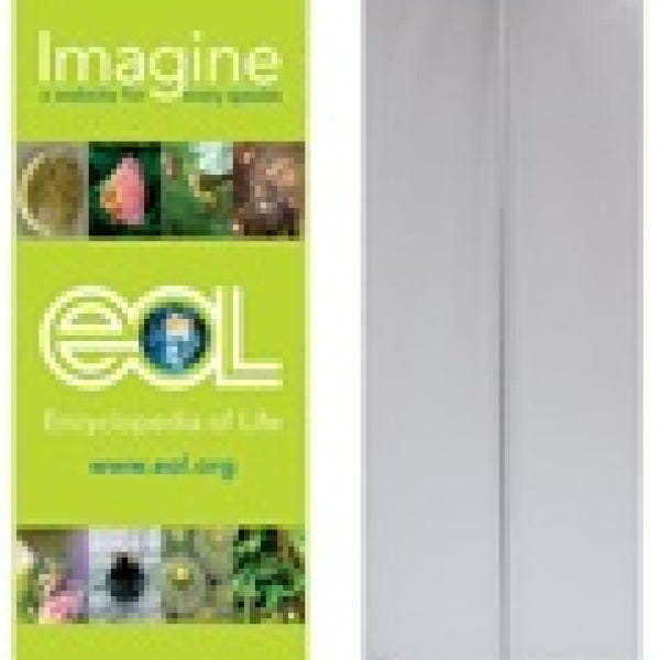 Retractable Banner