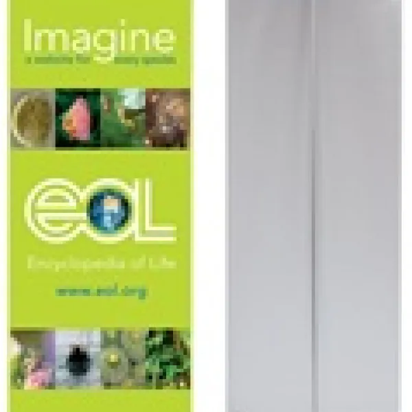 Retractable Banner