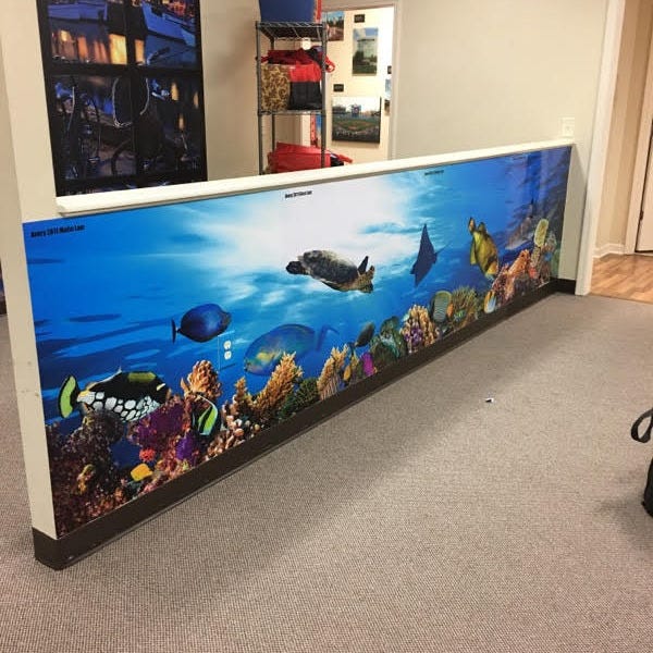 Panel Graphics