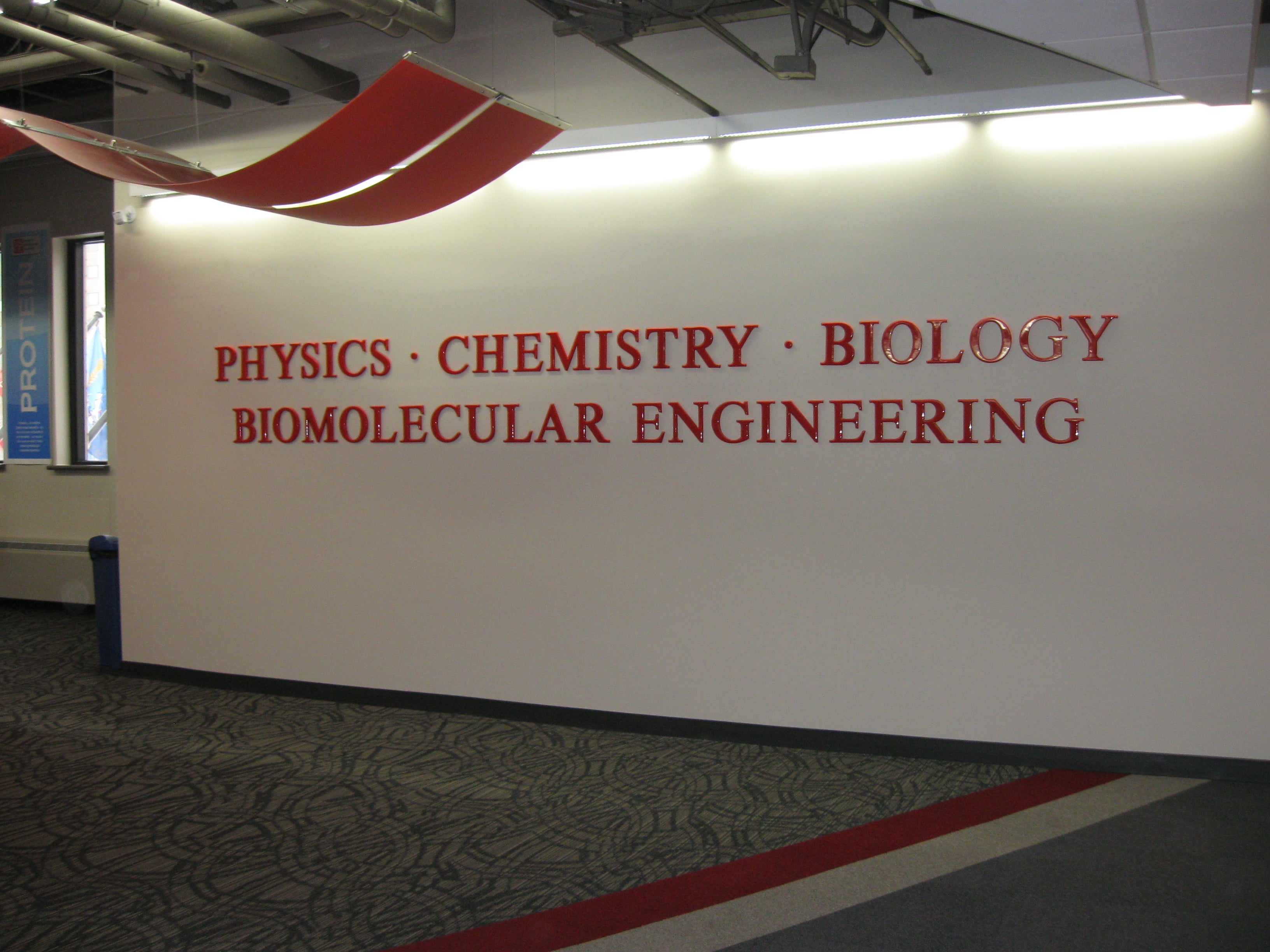 3D LETTER SIGNS (INTERIOR) by Signarama Milwaukee