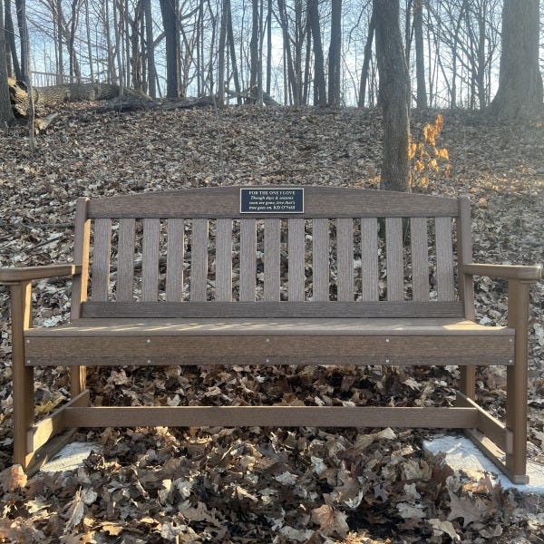plaque 5