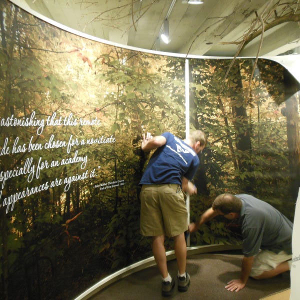 wall graphic 6