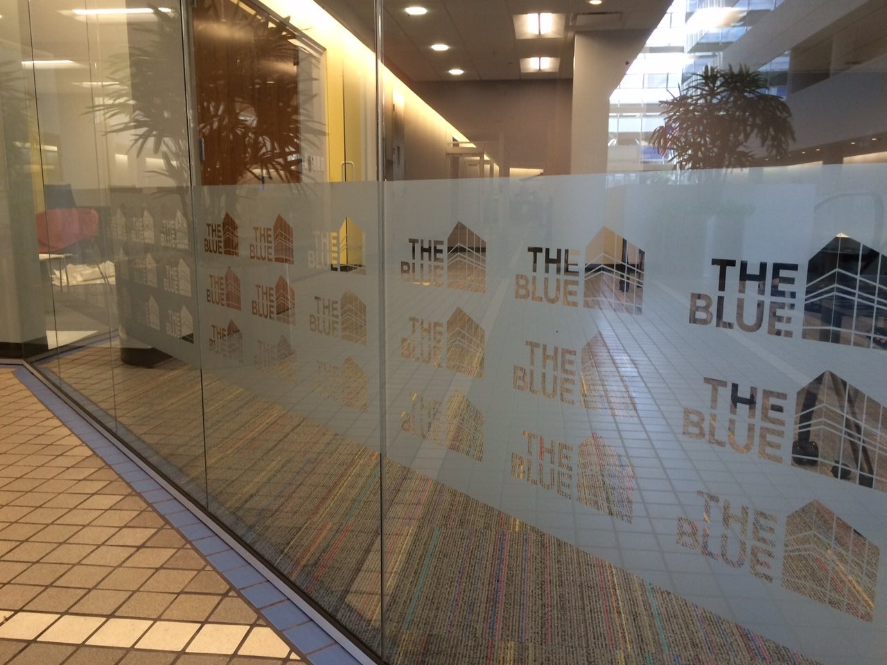 WINDOW GRAPHICS by Signarama Milwaukee