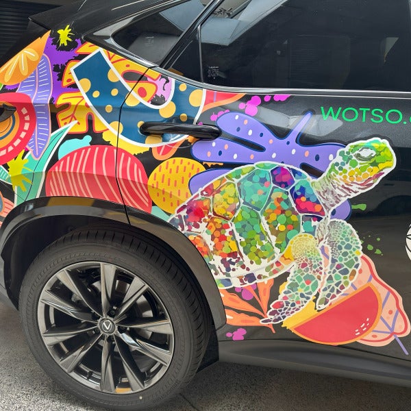 Visible Vehicles