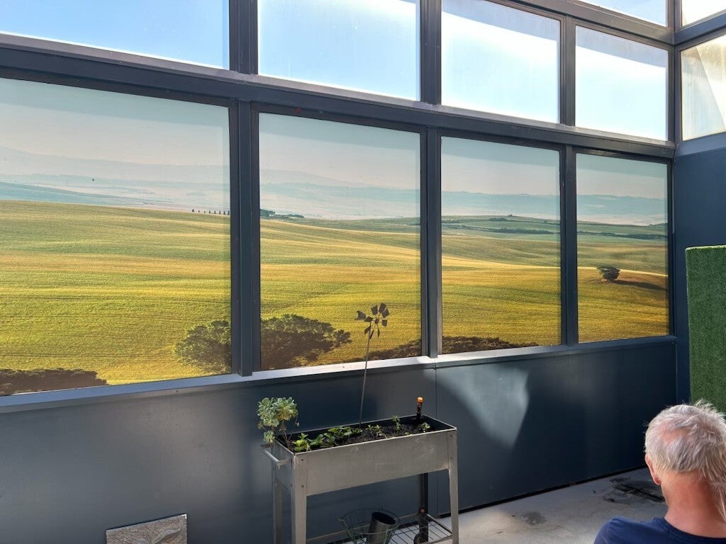 Office Window Graphics | Signarama Kew