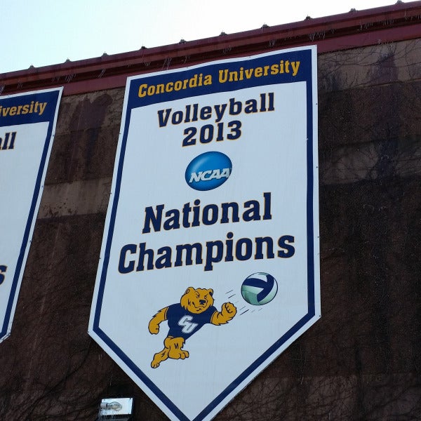 Let Your Message Fly High: Custom Banner Magic with Signarama Tysons Corner
