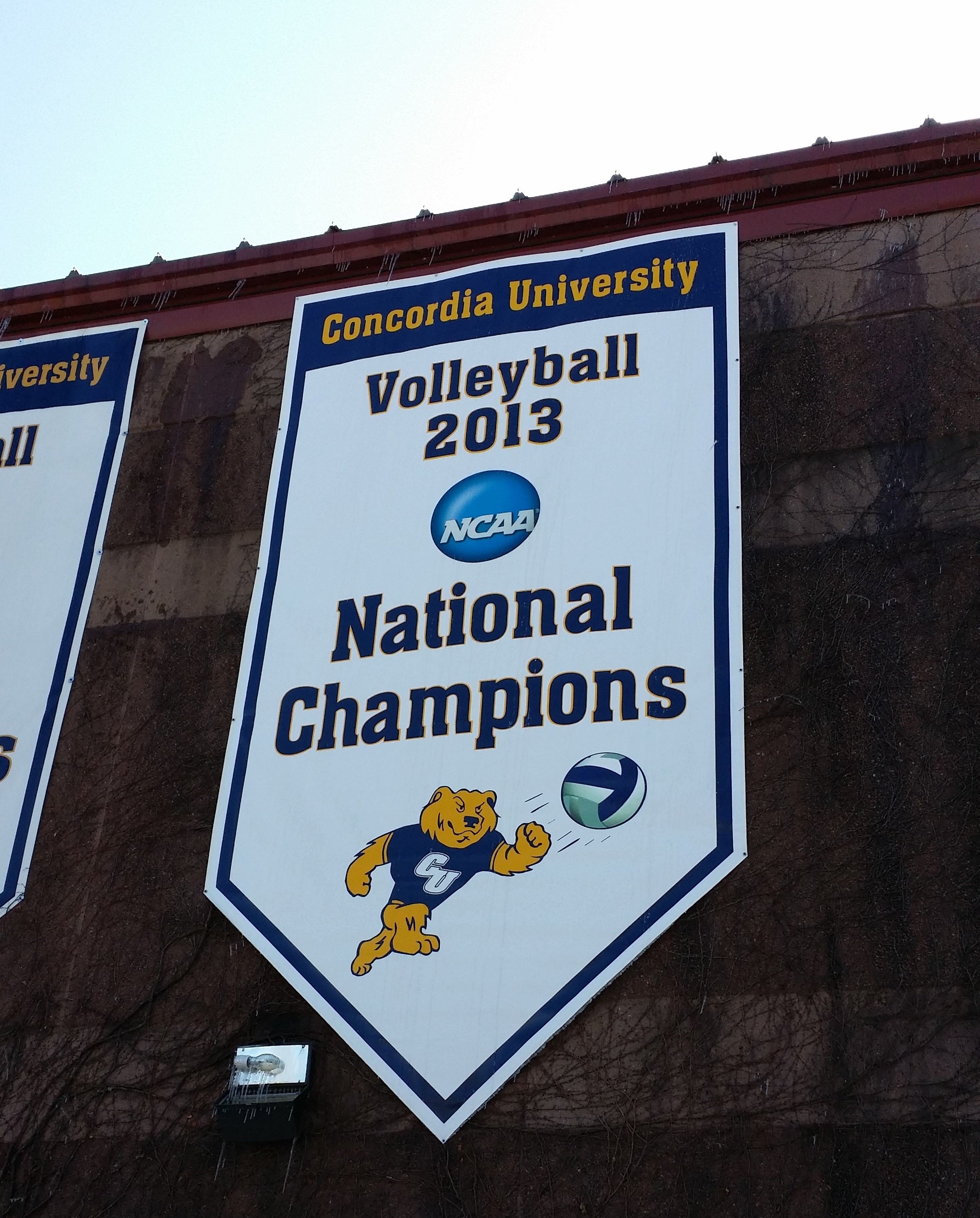 Big Banner