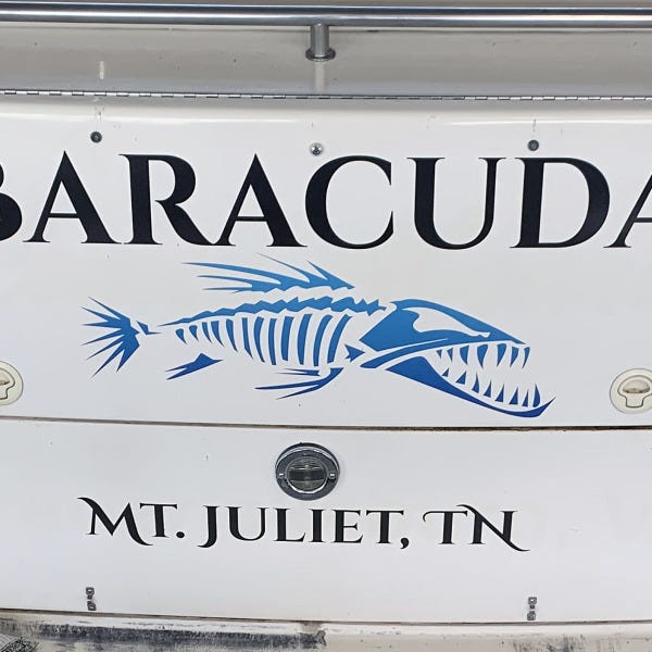 Barracuda boat