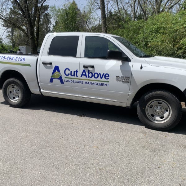 A cut above1