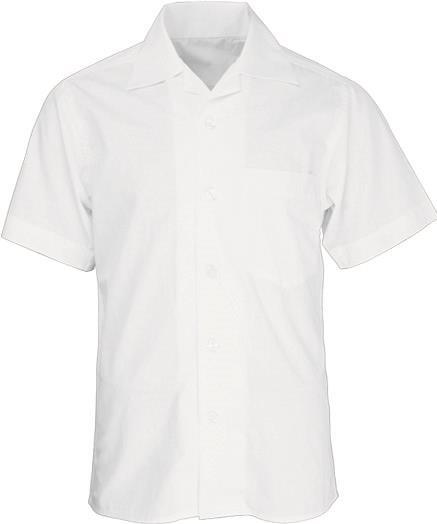 Boys Short Sleeve School Shirt