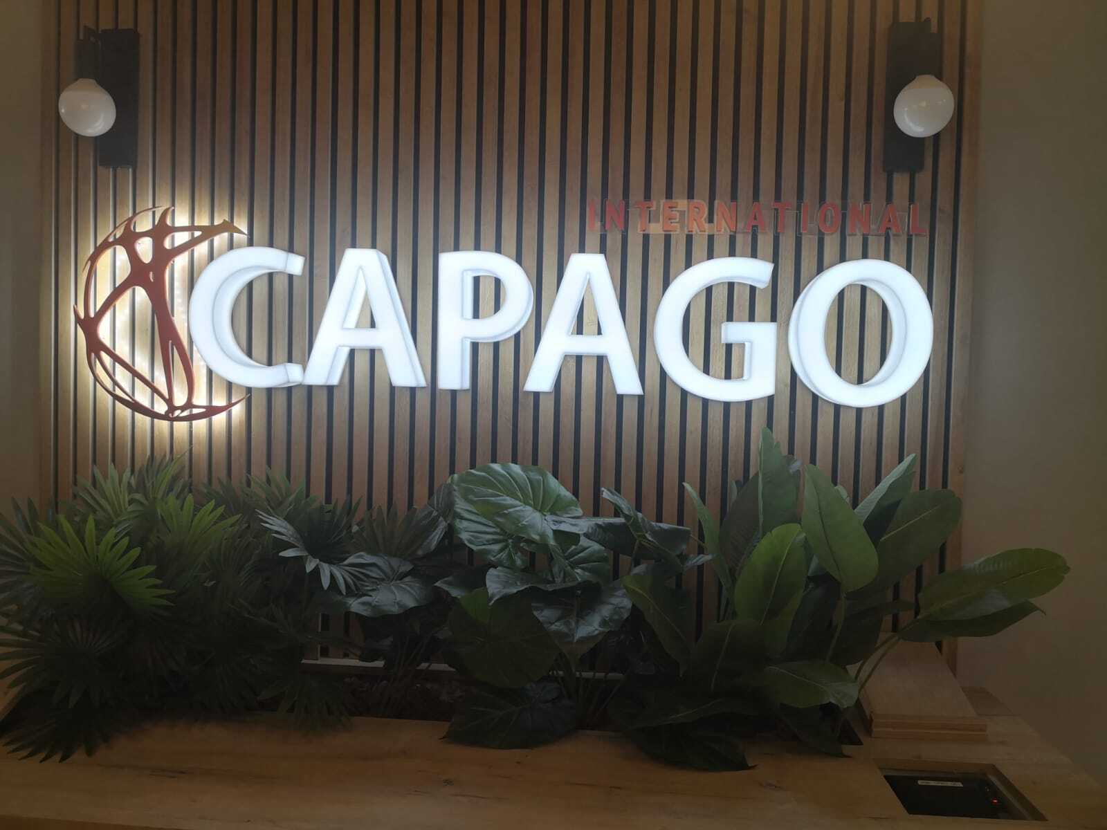 Illuminated cut letters