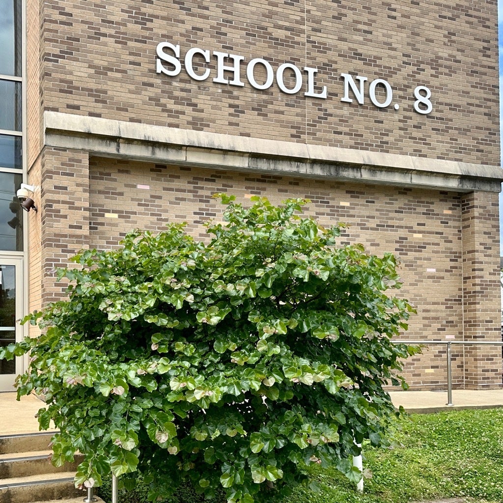 Dimensional Letters For Local School