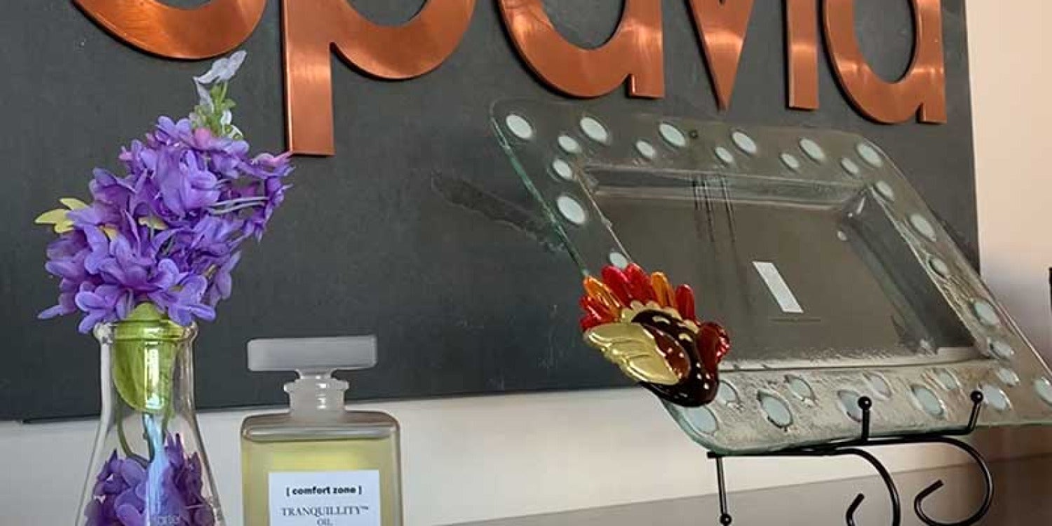 Spavia Day Spa's Philanthropic Efforts Spark Joy and Wellness in the Community
