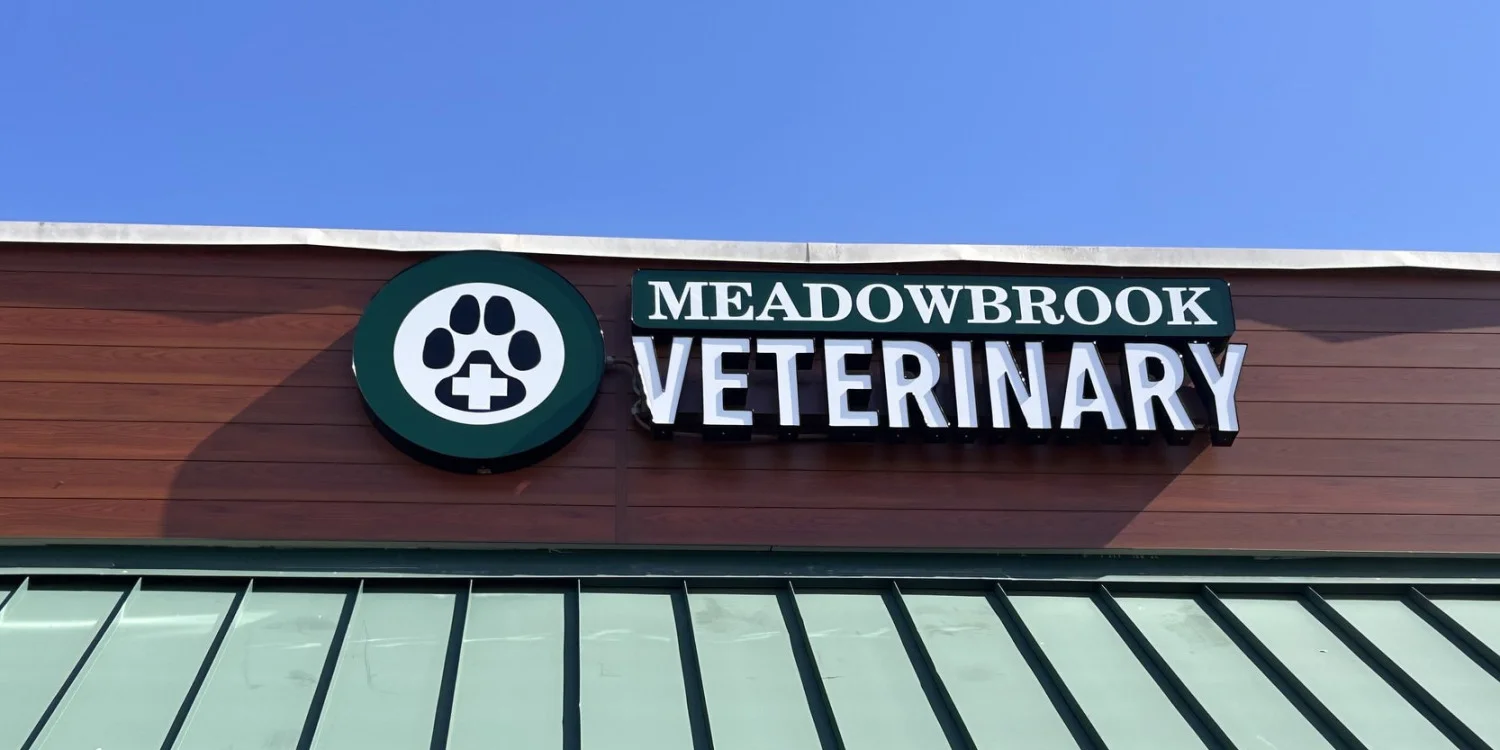 Custom Outdoor Signs for Business