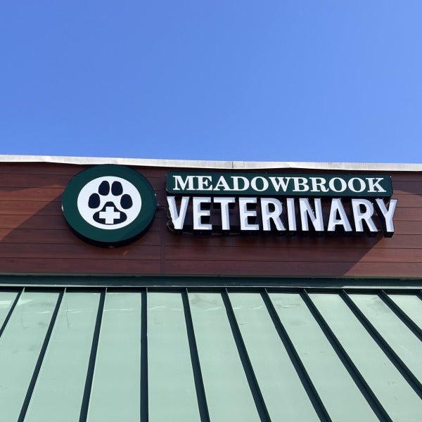 Meadowbrook Veterinary Channel Letters