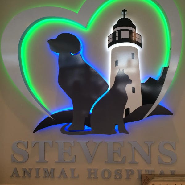 stevens animal hospital