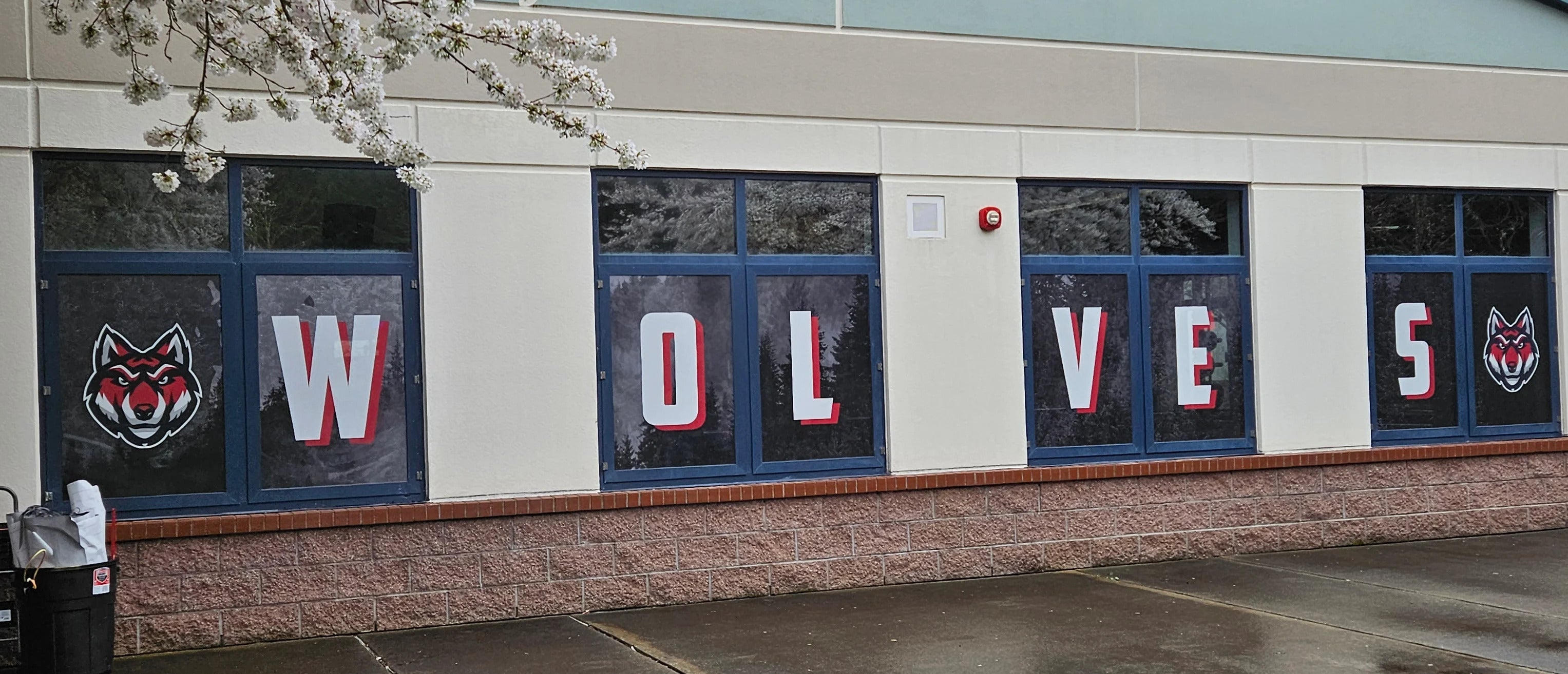 Boosting School Spirit with Custom Window Graphics