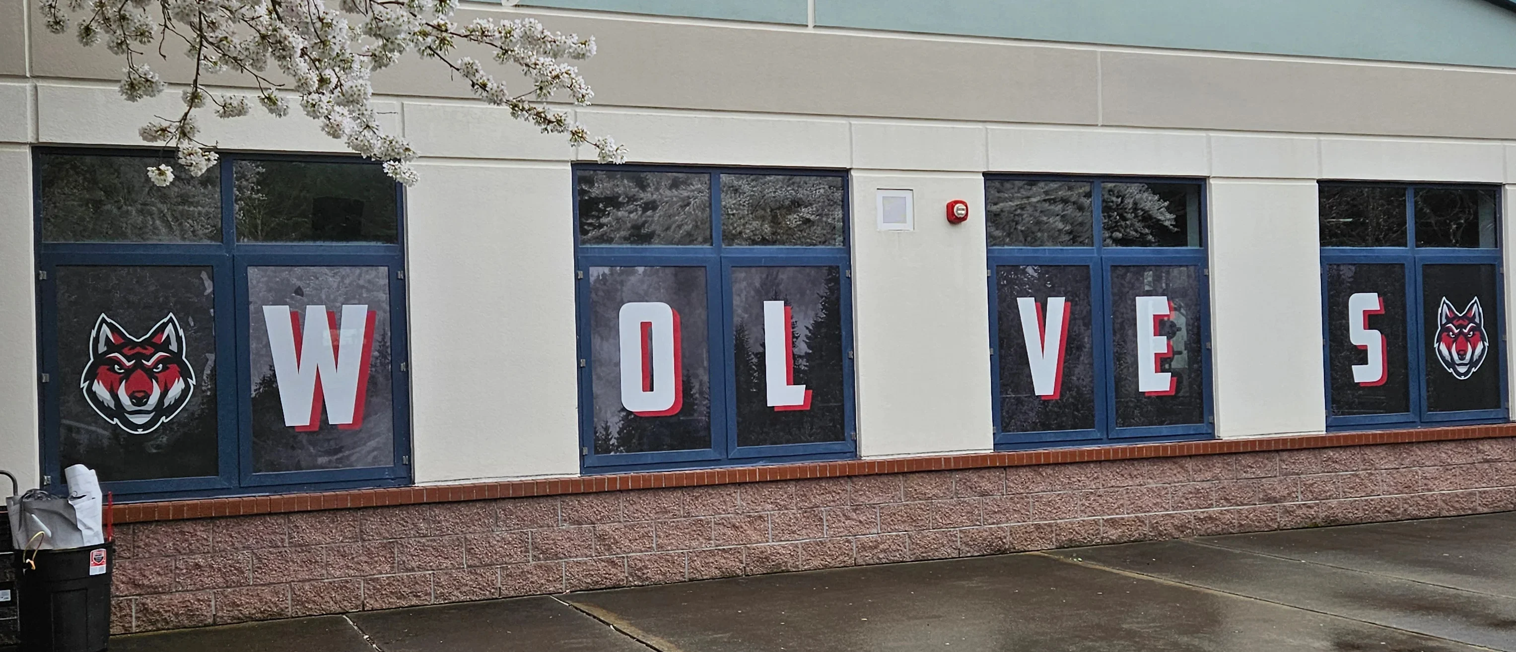 Window Signs & Signage