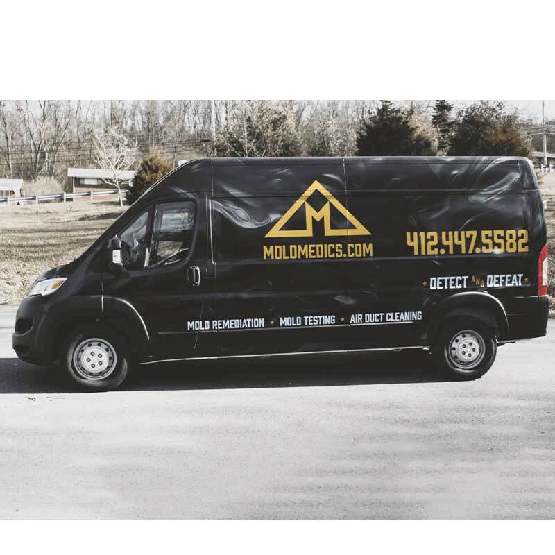 Mold Medics Franchise: The Silent Hero for Homeowners Mold Medics Franchise: The Silent Hero for Homeowners