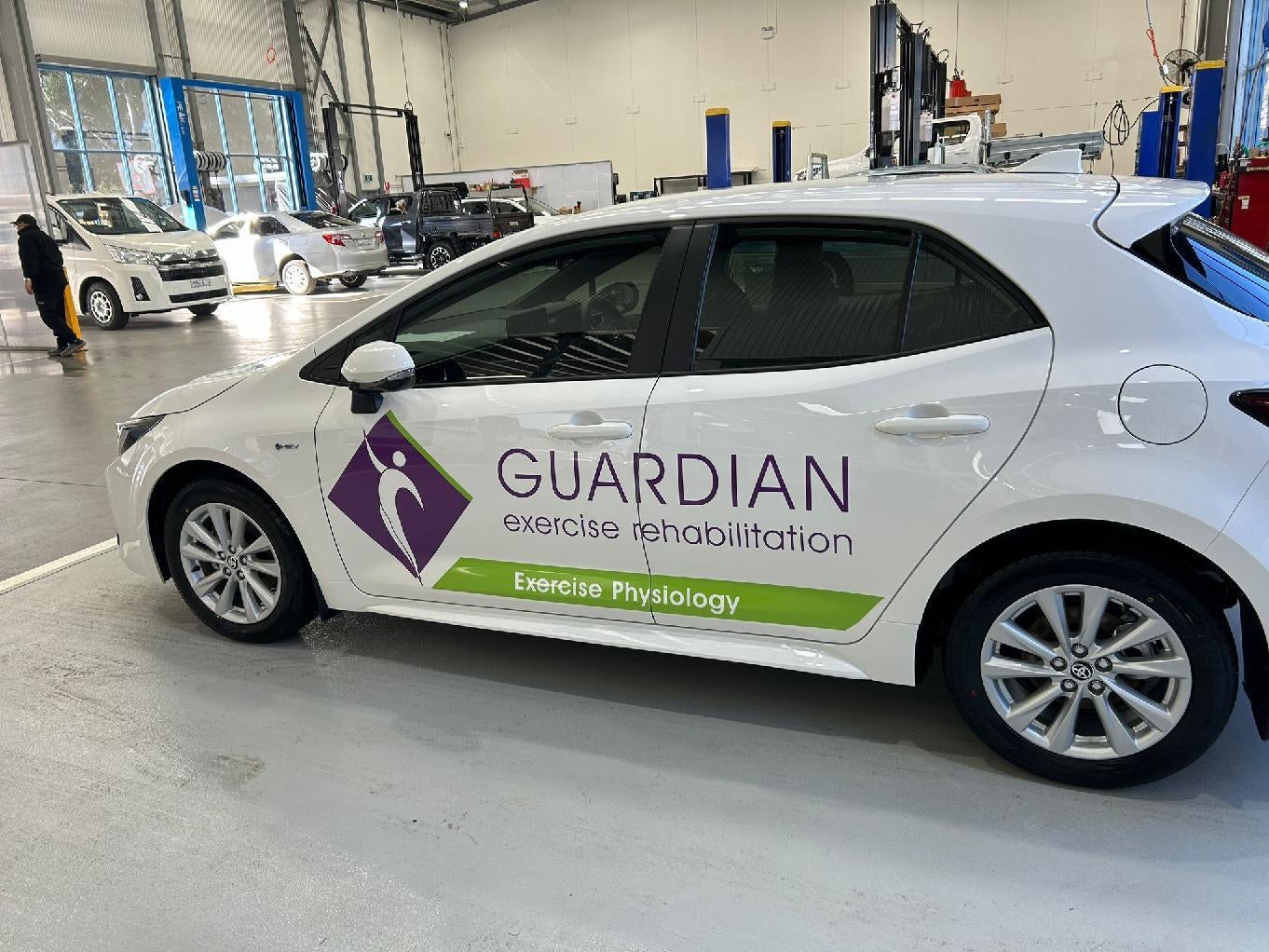 Vehicle graphics