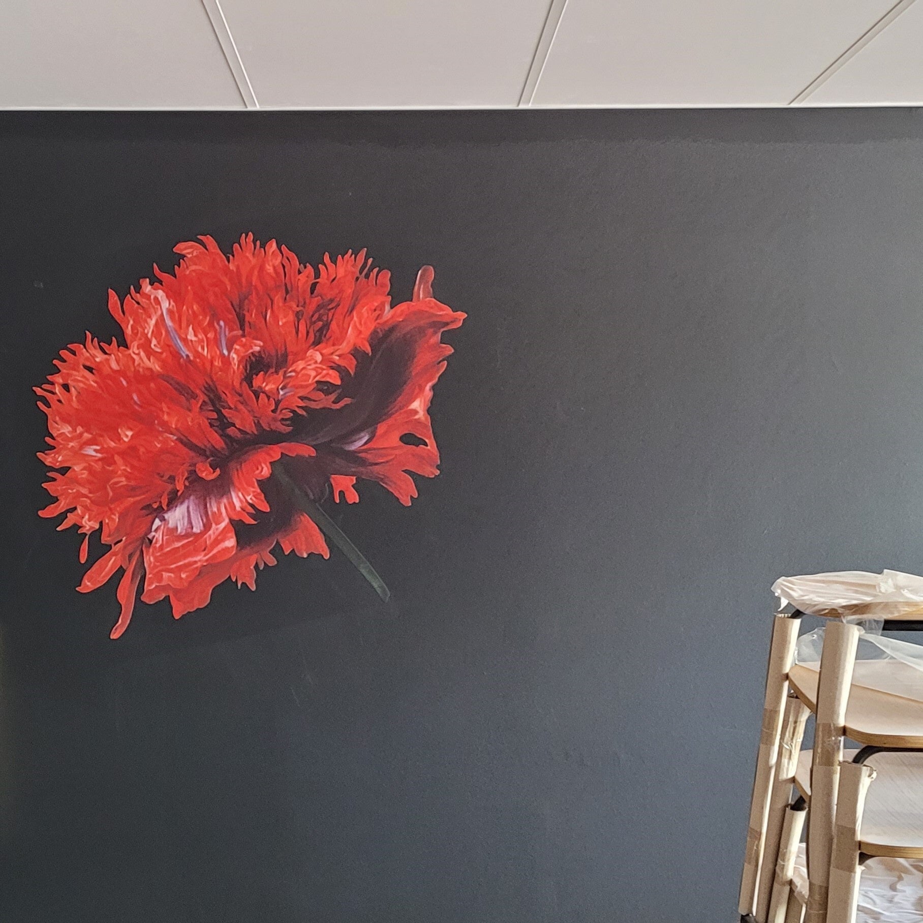 Give a plain wall a Wow or Pop feature