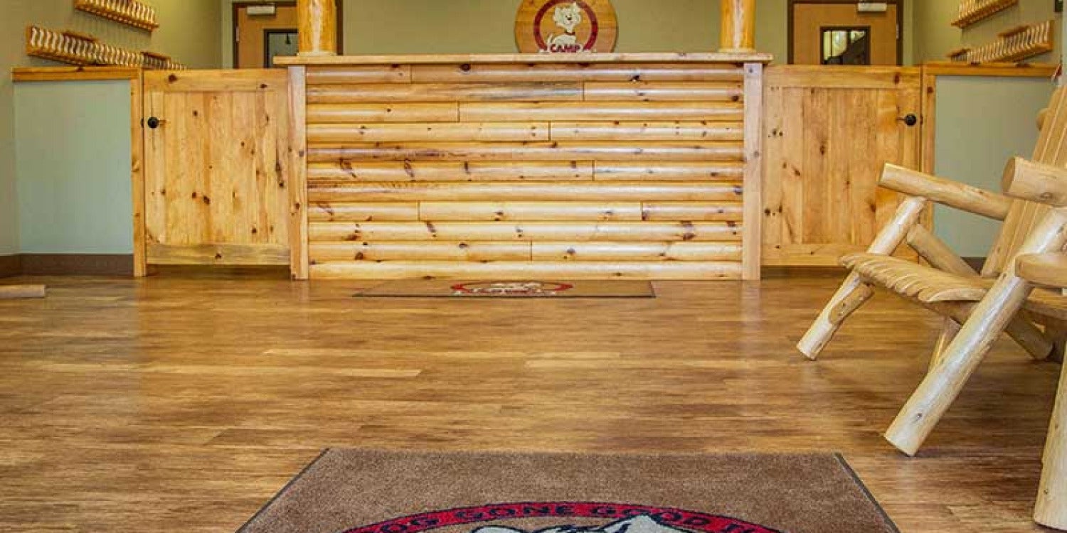 Camp Bow Wow Unleashes Tail-Wagging Innovation at Multi-Unit Franchising Conference