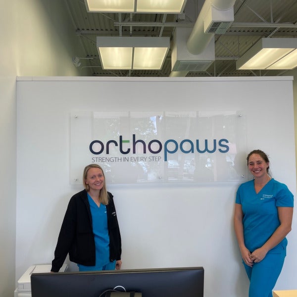 🌟 Spotlight on Our Latest Project: Orthopaws! 🐾