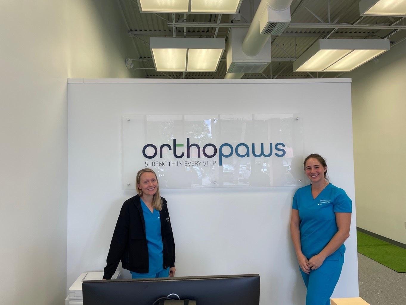 🌟 Spotlight on Our Latest Project: Orthopaws! 🐾