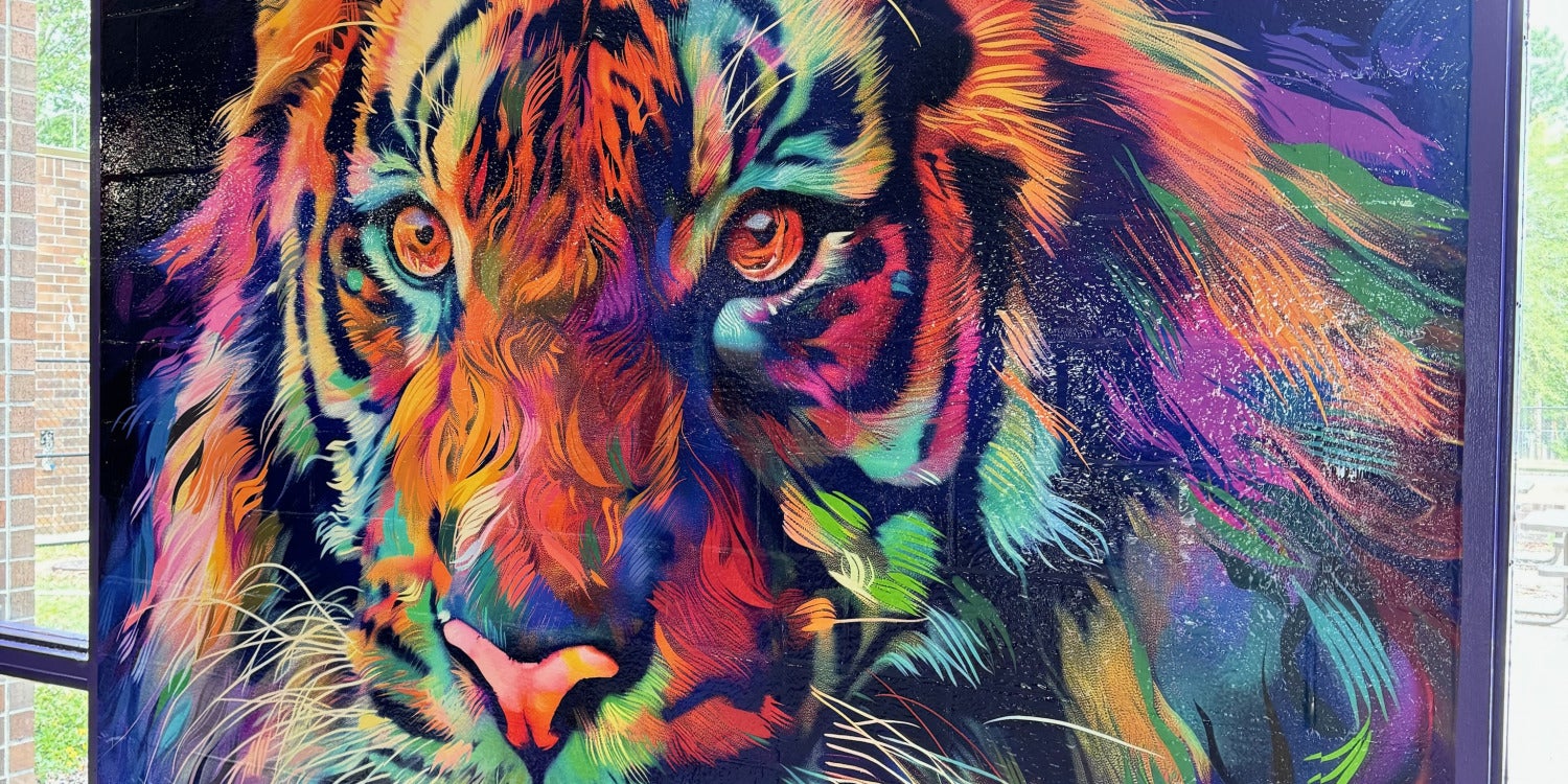 Wall Graphics & Murals
