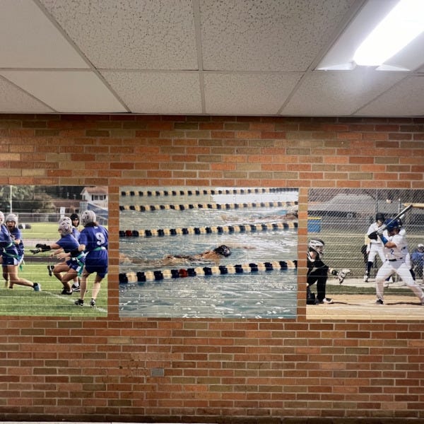 Larkin HS Wall Murals Flag Football, Swimming and Baseball