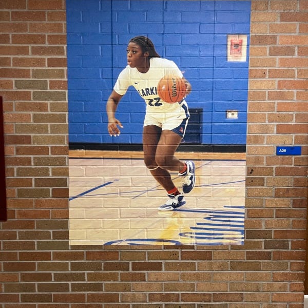 Larkin HS Wall Mural Basketball