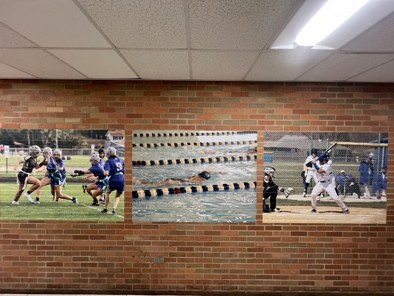Vinyl Wall Murals