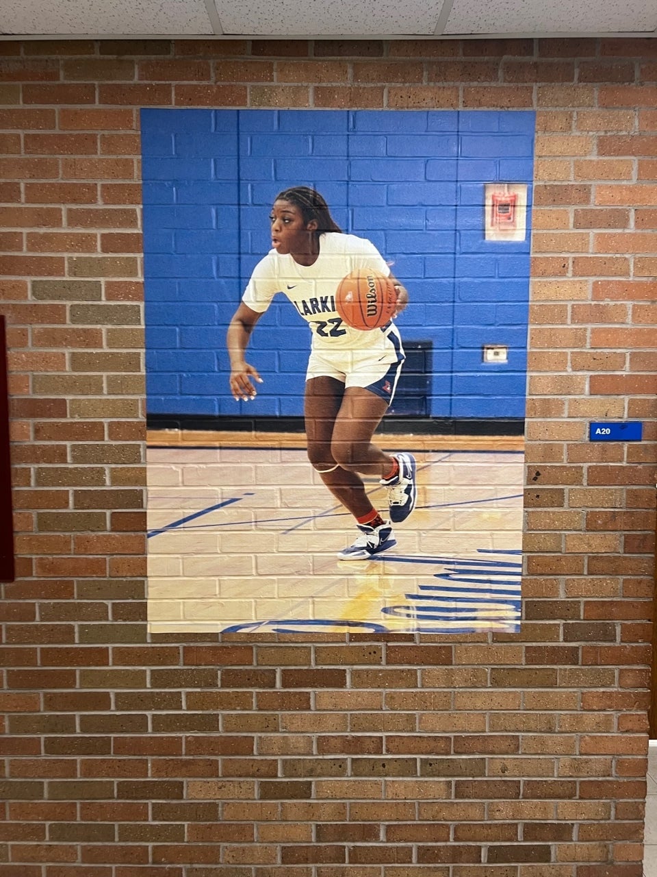 Vinyl Wall Murals