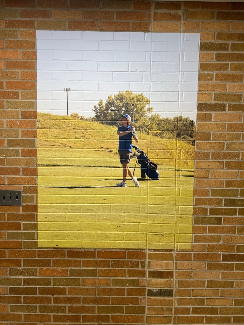 Vinyl Wall Murals
