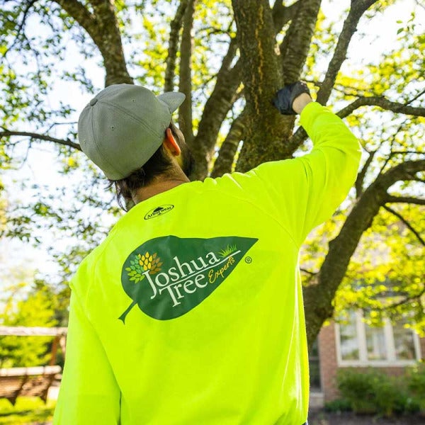 Joshua Tree Experts: Raleigh Welcomes Premiere Landscaping Company Expanding with a Vision of Quality and Community Joshua Tree Experts: Raleigh Welcomes Premiere Landscaping Company Expanding with a Vision of Quality and Community