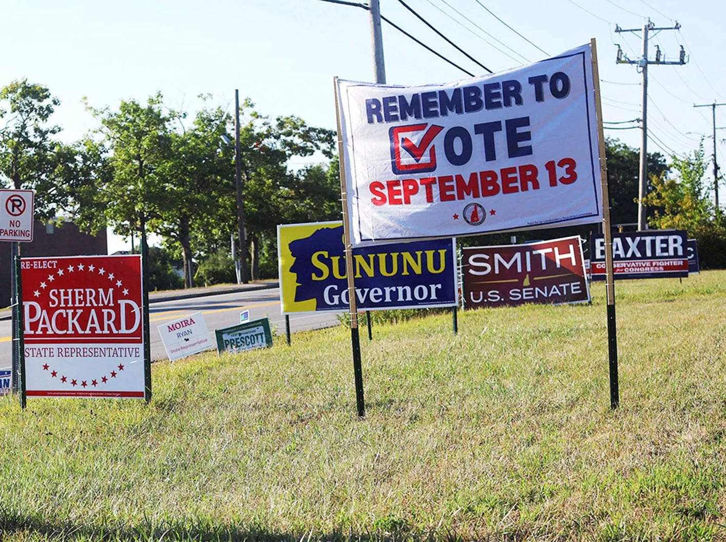 Political Signs in NH