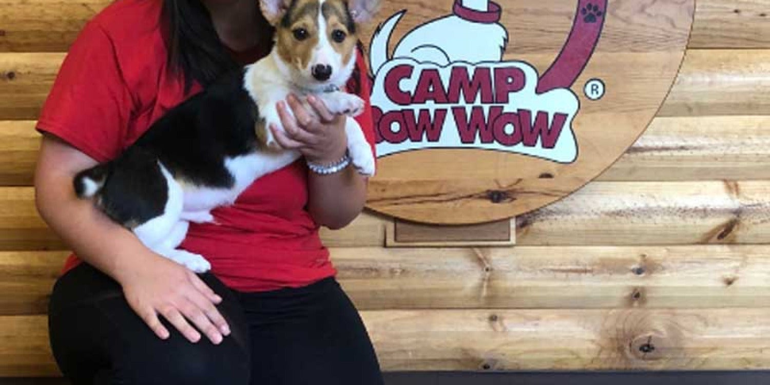 Camp Bow Wow Unleashes Game-Changing Franchise Incentive Plan for 2024 Expansion Camp Bow Wow Unleashes Game-Changing Franchise Incentive Plan for 2024 Expansion