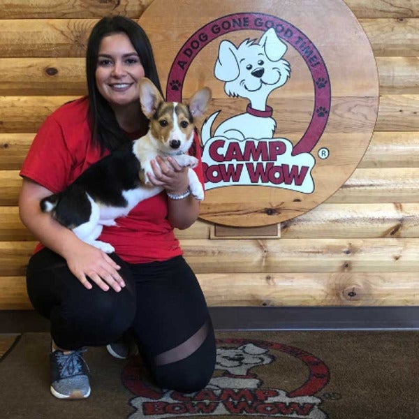 Camp Bow Wow Franchise Opportunity: 50% Rate Reduction & Incentives for ...