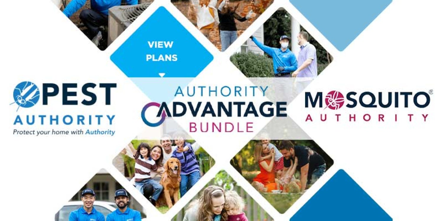 Dash Pest Control Revolutionize Pest Control with Authority Advantage Bundle | Pest ...
