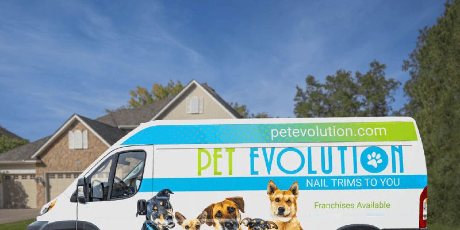 Pet Evolution: Revolutionizing Pet Care Across the Country Pet Evolution: Revolutionizing Pet Care Across the Country