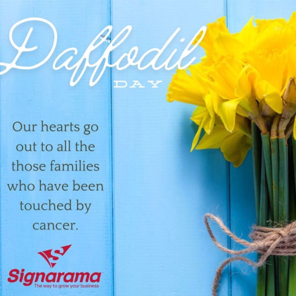 Daffodil Day