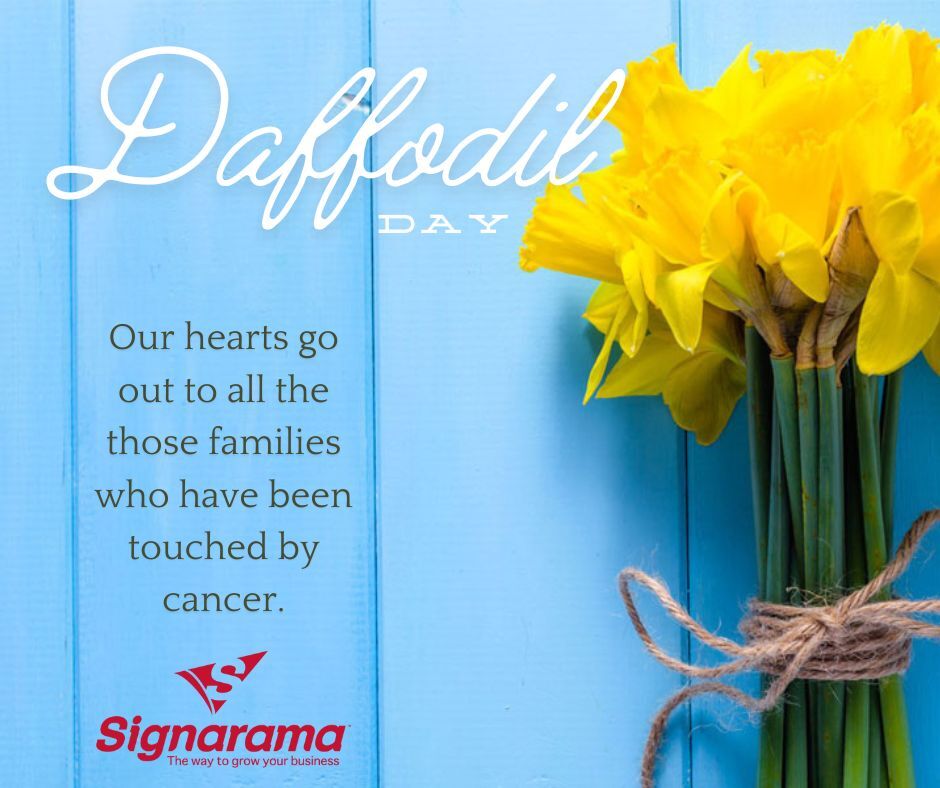 Daffodil Day