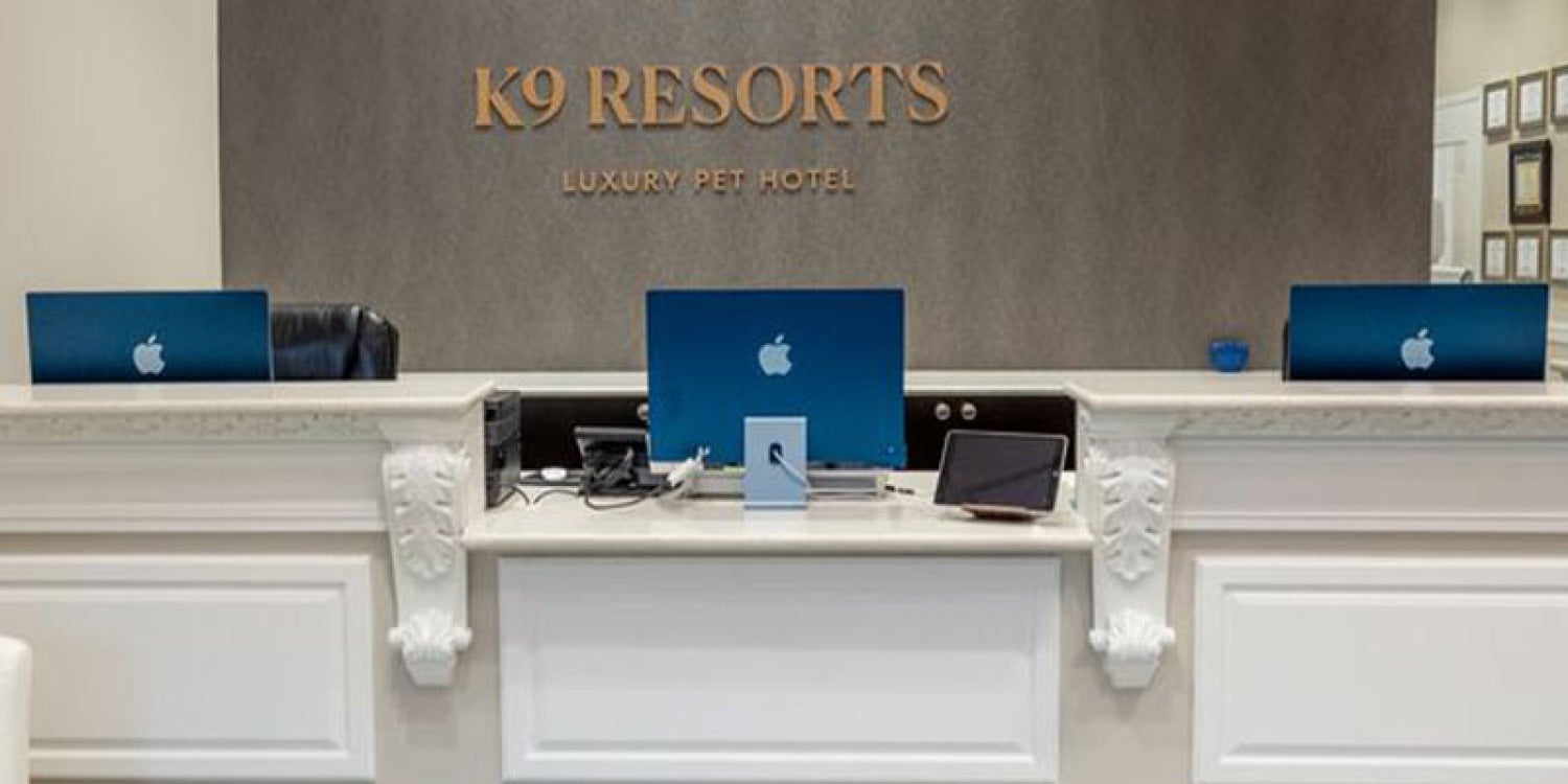 K9 Resorts Hits Detroit: Where Luxury Isn't Just for Humans Anymore