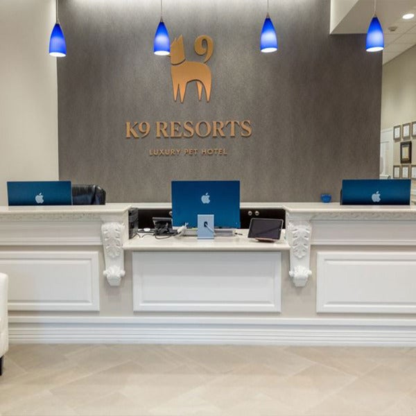 K9 Resorts Hits Detroit: Where Luxury Isn't Just for Humans Anymore K9 Resorts Hits Detroit: Where Luxury Isn't Just for Humans Anymore