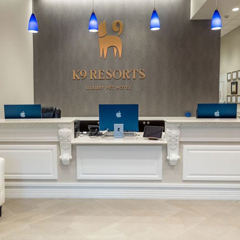 K9 Resorts Hits Detroit: Where Luxury Isn't Just for Humans Anymore K9 Resorts Hits Detroit: Where Luxury Isn't Just for Humans Anymore